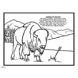 Раскраска: бизон (Животные) #1257 - Бесплатные раскраски для печати