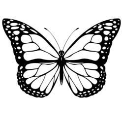 Раскраска: бабочка (Животные) #15662 - Бесплатные раскраски для печати