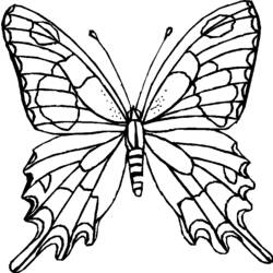 Раскраска: бабочка (Животные) #15676 - Бесплатные раскраски для печати