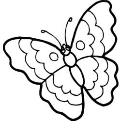 Раскраска: бабочка (Животные) #15681 - Бесплатные раскраски для печати