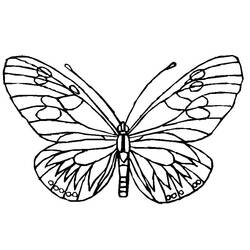 Раскраска: бабочка (Животные) #15745 - Бесплатные раскраски для печати