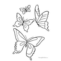 Раскраска: бабочка (Животные) #15747 - Бесплатные раскраски для печати