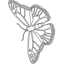 Раскраска: бабочка (Животные) #15773 - Бесплатные раскраски для печати