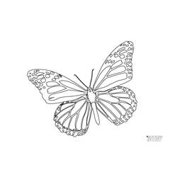Раскраска: бабочка (Животные) #15794 - Бесплатные раскраски для печати