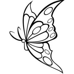Раскраска: бабочка (Животные) #15848 - Бесплатные раскраски для печати