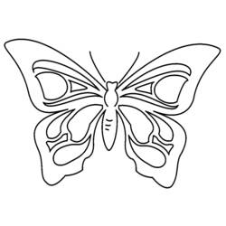 Раскраска: бабочка (Животные) #15850 - Бесплатные раскраски для печати