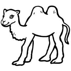 Раскраска: верблюд (Животные) #1661 - Бесплатные раскраски для печати