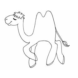 Раскраска: верблюд (Животные) #1662 - Бесплатные раскраски для печати