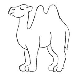 Раскраска: верблюд (Животные) #1664 - Бесплатные раскраски для печати