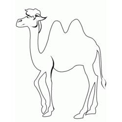 Раскраска: верблюд (Животные) #1674 - Бесплатные раскраски для печати