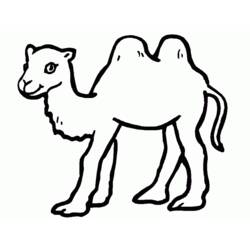 Раскраска: верблюд (Животные) #1681 - Бесплатные раскраски для печати