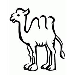 Раскраска: верблюд (Животные) #1693 - Бесплатные раскраски для печати