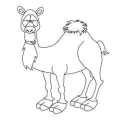 Раскраска: верблюд (Животные) #1704 - Бесплатные раскраски для печати