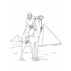 Раскраска: верблюд (Животные) #1713 - Бесплатные раскраски для печати