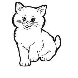 Раскраска: кот (Животные) #1761 - Бесплатные раскраски для печати