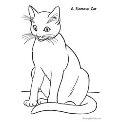 Раскраска: кот (Животные) #1775 - Бесплатные раскраски для печати
