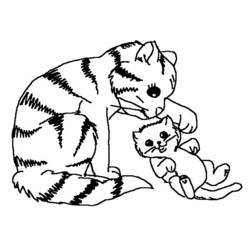 Раскраска: кот (Животные) #1799 - Бесплатные раскраски для печати