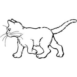 Раскраска: кот (Животные) #1822 - Бесплатные раскраски для печати