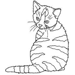 Раскраска: кот (Животные) #1843 - Бесплатные раскраски для печати