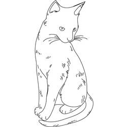 Раскраска: кот (Животные) #1933 - Бесплатные раскраски для печати