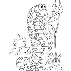 Раскраска: гусеница (Животные) #18244 - Бесплатные раскраски для печати