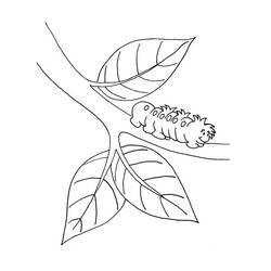 Раскраска: гусеница (Животные) #18245 - Бесплатные раскраски для печати