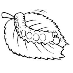 Раскраска: гусеница (Животные) #18263 - Бесплатные раскраски для печати