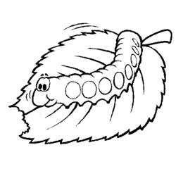 Раскраска: гусеница (Животные) #18268 - Бесплатные раскраски для печати