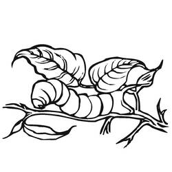 Раскраска: гусеница (Животные) #18271 - Бесплатные раскраски для печати