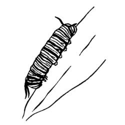 Раскраска: гусеница (Животные) #18272 - Бесплатные раскраски для печати