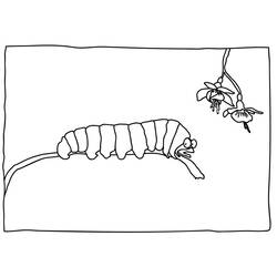 Раскраска: гусеница (Животные) #18363 - Бесплатные раскраски для печати