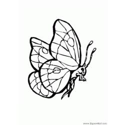 Раскраска: гусеница (Животные) #18385 - Бесплатные раскраски для печати