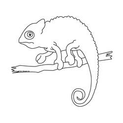 Раскраска: хамелеон (Животные) #1393 - Бесплатные раскраски для печати