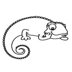 Раскраска: хамелеон (Животные) #1398 - Бесплатные раскраски для печати