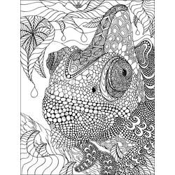 Раскраска: хамелеон (Животные) #1404 - Бесплатные раскраски для печати