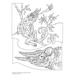 Раскраска: хамелеон (Животные) #1416 - Бесплатные раскраски для печати