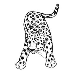 Раскраска: гепард (Животные) #7870 - Бесплатные раскраски для печати