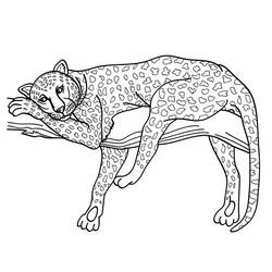 Раскраска: гепард (Животные) #7873 - Бесплатные раскраски для печати