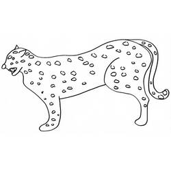 Раскраска: гепард (Животные) #7875 - Бесплатные раскраски для печати
