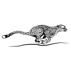 Раскраска: гепард (Животные) #7879 - Бесплатные раскраски для печати