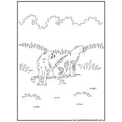 Раскраска: гепард (Животные) #7881 - Бесплатные раскраски для печати