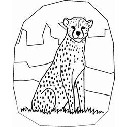 Раскраска: гепард (Животные) #7882 - Бесплатные раскраски для печати