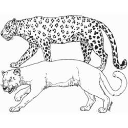Раскраска: гепард (Животные) #7884 - Бесплатные раскраски для печати