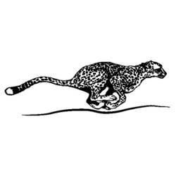Раскраска: гепард (Животные) #7890 - Бесплатные раскраски для печати