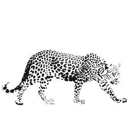 Раскраска: гепард (Животные) #7901 - Бесплатные раскраски для печати
