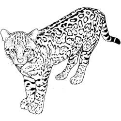 Раскраска: гепард (Животные) #7932 - Бесплатные раскраски для печати