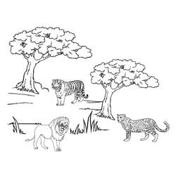 Раскраска: гепард (Животные) #8005 - Бесплатные раскраски для печати