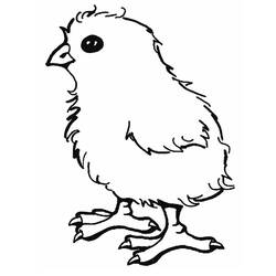 Раскраска: цыпленок (Животные) #15311 - Бесплатные раскраски для печати