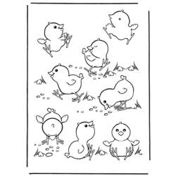 Раскраска: цыпленок (Животные) #15326 - Бесплатные раскраски для печати