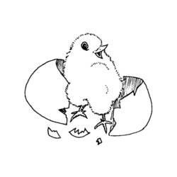 Раскраска: цыпленок (Животные) #15327 - Бесплатные раскраски для печати